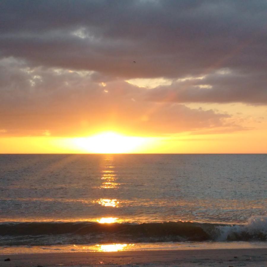سانت بيتي بيتش The Cottages At Madeira Beach المظهر الخارجي الصورة