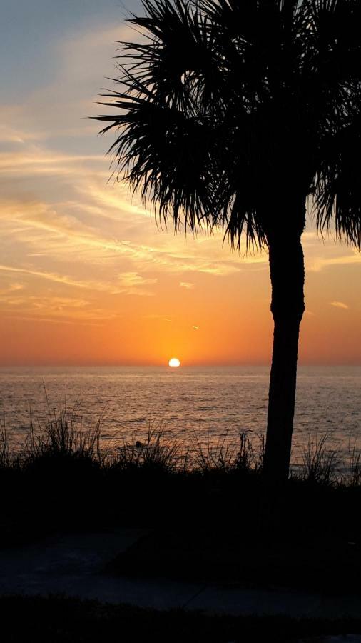 سانت بيتي بيتش The Cottages At Madeira Beach المظهر الخارجي الصورة